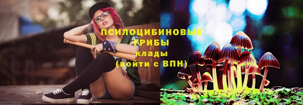 ALPHA-PVP Надым