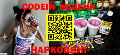 МДПВ Кингисепп