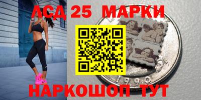 МДПВ Кингисепп