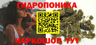 МДПВ Кингисепп