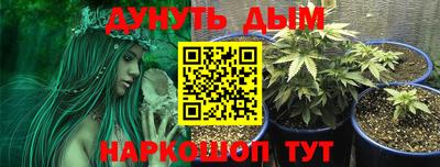 дмт Кимры
