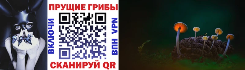 Псилоцибиновые грибы Magic Shrooms  гидра ТОР  Норильск 