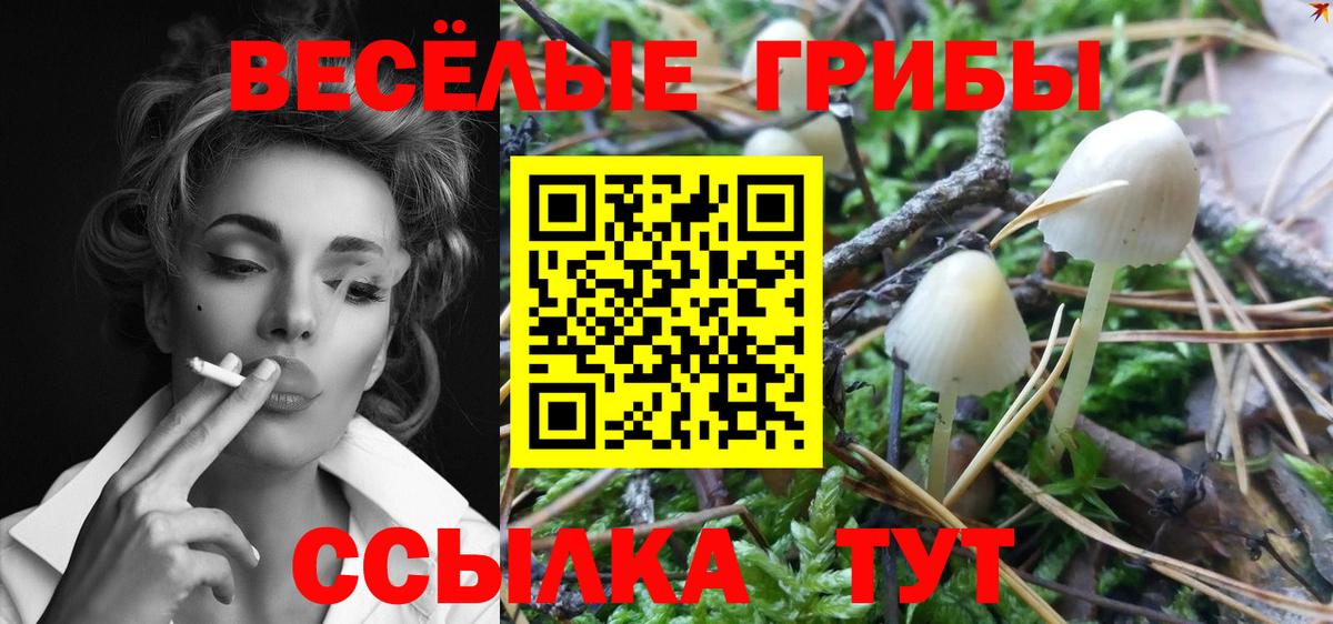 Псилоцибиновые грибы прущие грибы  наркота  Норильск 