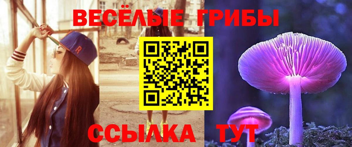 Галлюциногенные грибы GOLDEN TEACHER Норильск