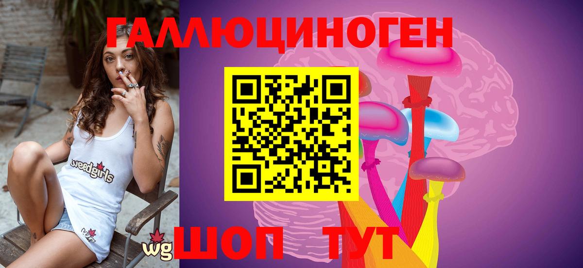 как найти закладки  Вход с VPN  Норильск  Псилоцибиновые грибы Psilocybine cubensis 
